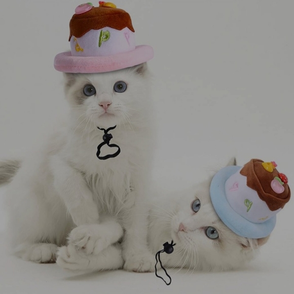 Other - Pets Happy Birthday hat